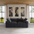 2-Seater Sofa Couch with Pillows for Living Room