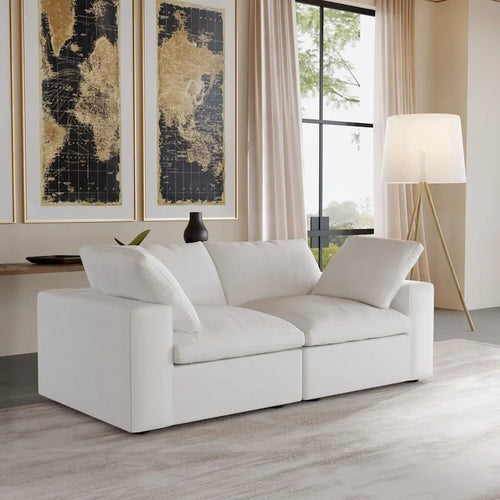 2-Seater Sofa Couch with Pillows for Living Room