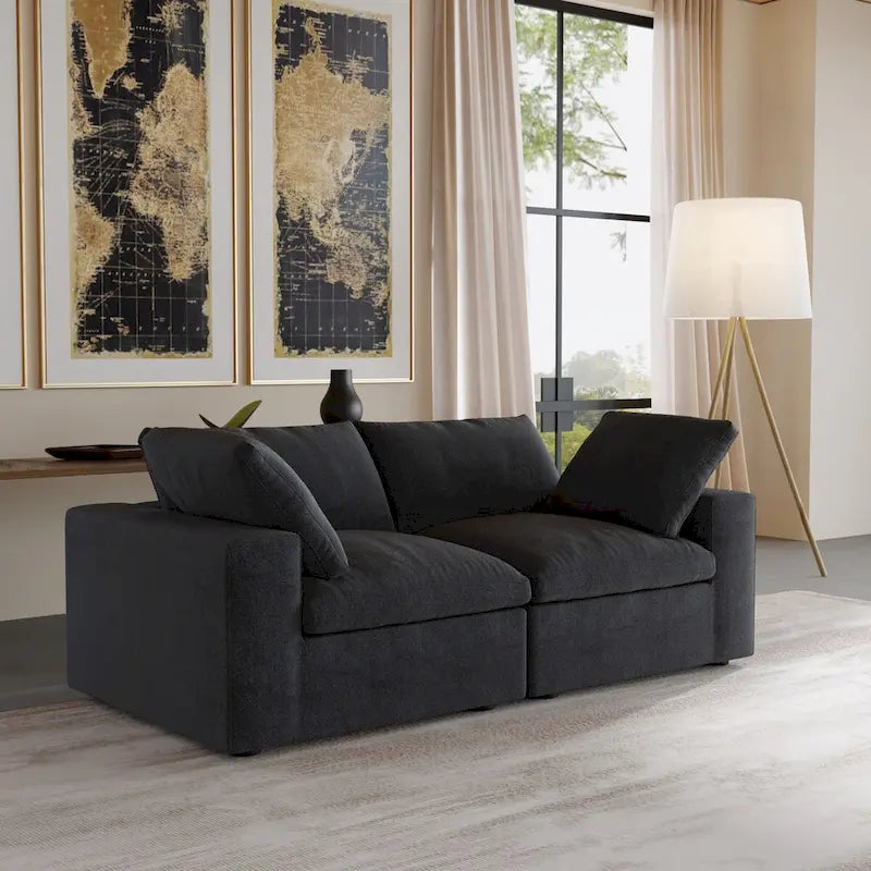 2-Seater Sofa Couch with Pillows for Living Room