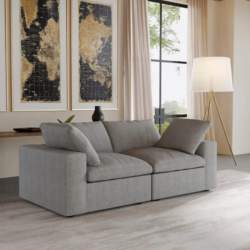2-Seater Sofa Couch with Pillows for Living Room