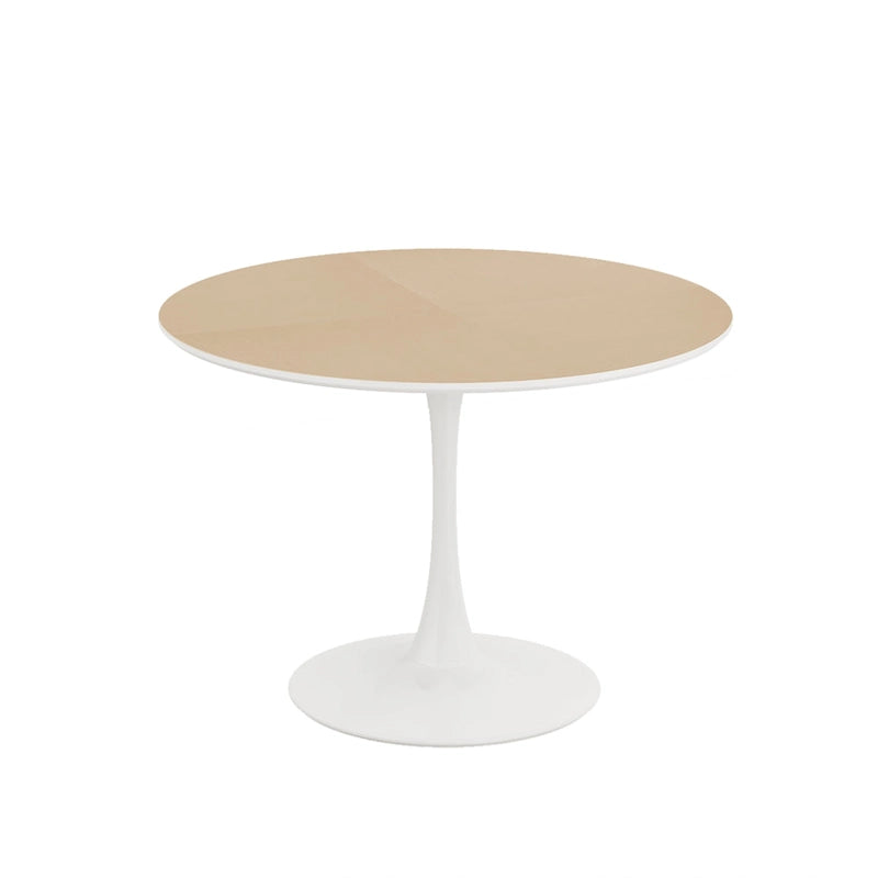 Modern Round Dining Table with Metal Base